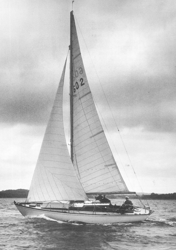 Minx of Malham black and white sailing