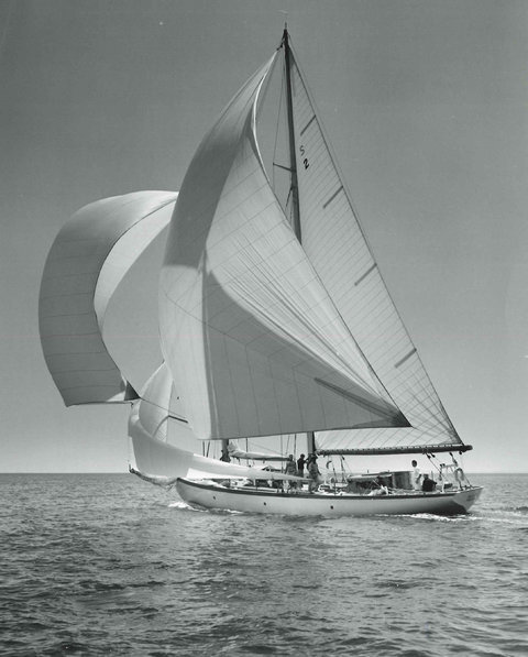 nina sailing yacht