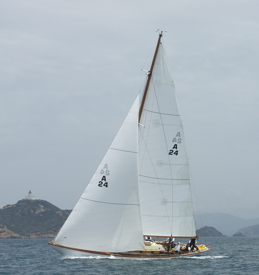 white wings sailboat